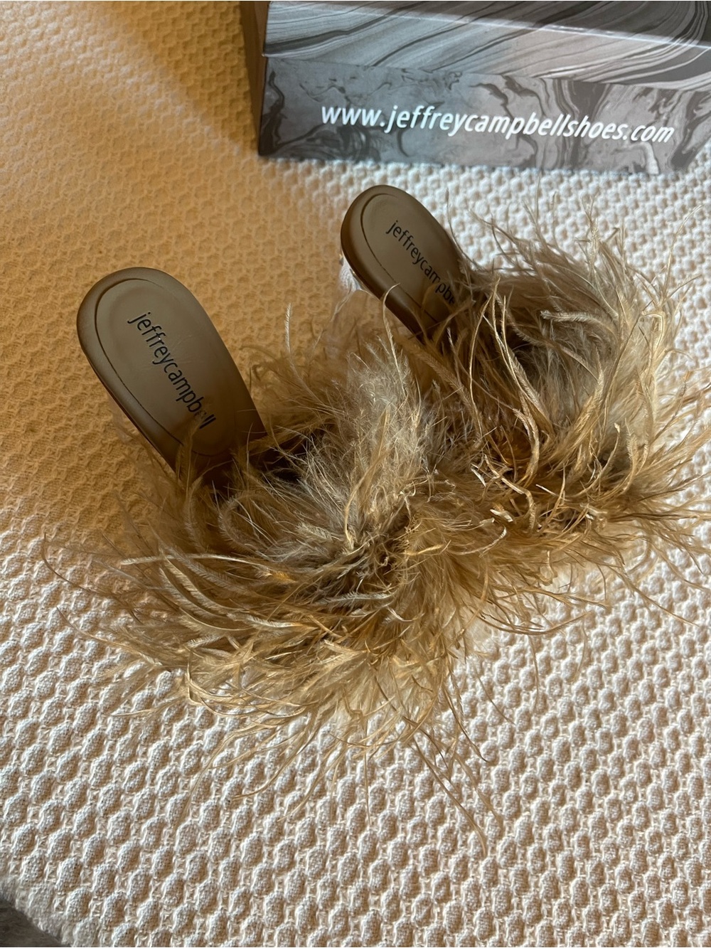 Jeffrey Campbell Daisy feather heels lucite heel